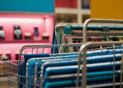 impacts economiques du shopping en ligne vs en magasin